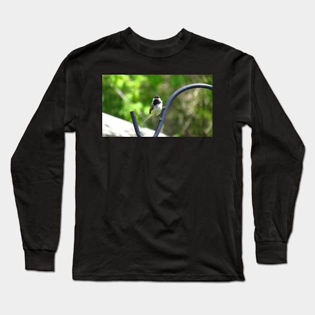 Black-capped Chickadee Staring Long Sleeve T-Shirt by BackyardBirder